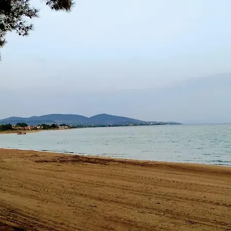 Kalives Summer House *